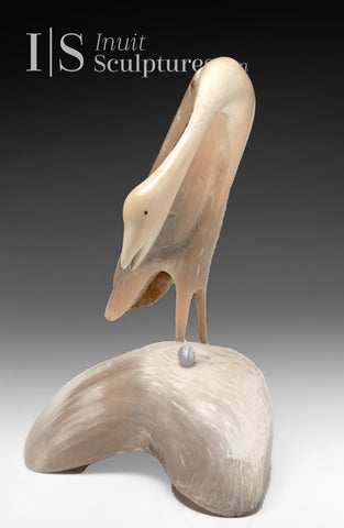 12" Muskox Horn Bird by Buddy Alikamik *Willow*