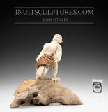 8" Hawk by Damien Iquallaq *Indestructible Love*