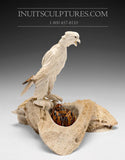 8" Hawk by Damien Iquallaq *Indestructible Love*