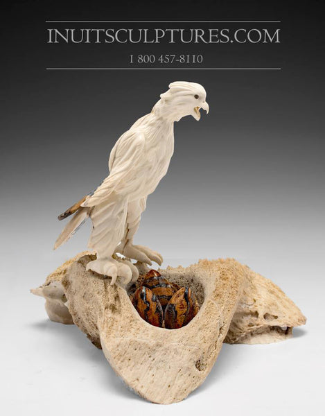 8" Hawk by Damien Iquallaq *Indestructible Love*