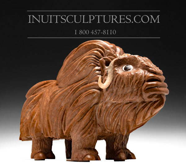 20" Muskox by Damien Iquallaq  *Gentle Giant*