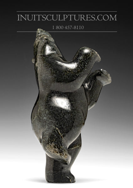 Ours dansant 8" par Tony Oqutaq