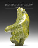 6" Contemplative Green Dancing Bear David Shaa