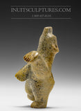 3.5" Golden Green Dancing Bear by Adamie Mathewsie