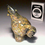 Ours dansant brillant par Moe Petooloosie