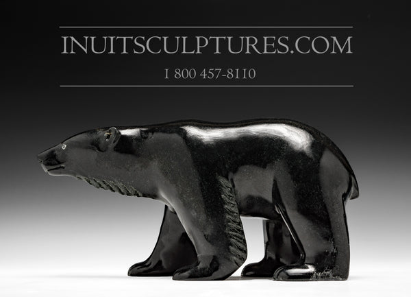 8" Winsome Black Bear by Master Carver Derrald Taylor