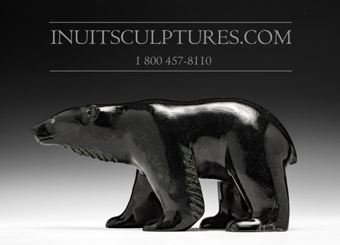 Ours noir Winsome de 8 po par le maître sculpteur Derrald Taylor