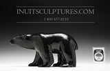 8" Winsome Black Bear by Master Carver Derrald Taylor