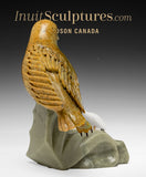 Maître sculpteur Derrald Taylor, ami des hiboux et des oiseaux, 9 pouces