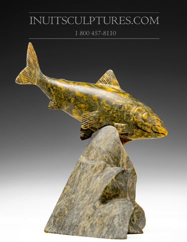 Poisson d'omble chevalier de 7 po par Maître Derrald Taylor