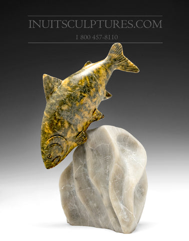 Poisson d'omble chevalier de 7 po par Maître Derrald Taylor