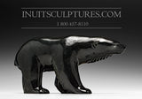 8" Winsome Black Bear by Master Carver Derrald Taylor