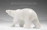 13" Walking Polar Bear Master Carver Derrald Taylor