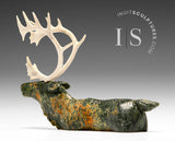 7" Swimming Caribou by  Derrald Taylor *Leif*