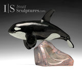 12" SIGNATURE Orca by Derrald Taylor  *Sunset Swim*