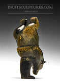 Ours de plongée doré foncé de 7 pouces par Ottokie Ashoona
