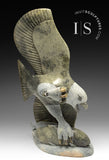 17" SIGNATURE Eagle & Fish by Pits Qimirpik *Spring Training* CURATOR'S CHOICE