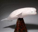 Béluga blanc 10" par Esau Kripanik