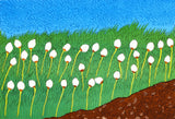 2013 COTTON GRASS by Nicotye Samayualie