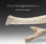 22"  Ivory Carved Walrus Tusk by Jonas Audlakiak  *Compadres*
