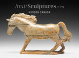 8" Zuni Horse by Jeff Shetima *Palamino*