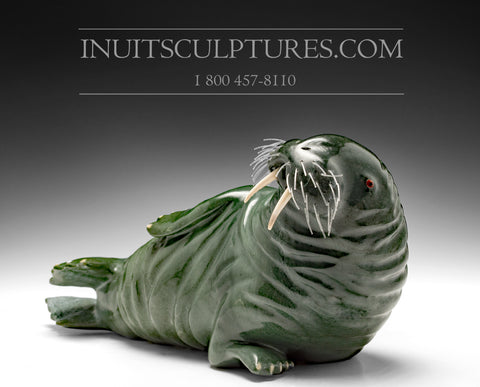 12" Dark Green Basking Walrus by Famous Jimmy Iqaluq