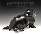 8" Basking Walrus by Famous Jimmy Iqaluq