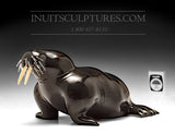 8" Basking Walrus by Famous Jimmy Iqaluq