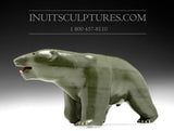 12" Bear with Inlay Claws and teeth Famous Jimmy Iqaluq