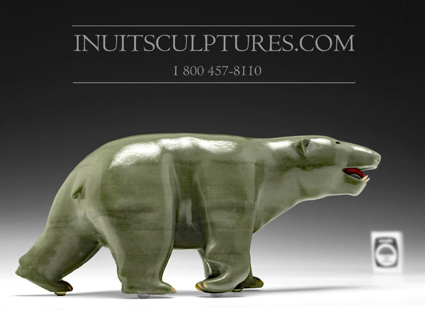 12" Bear with Inlay Claws and teeth Famous Jimmy Iqaluq