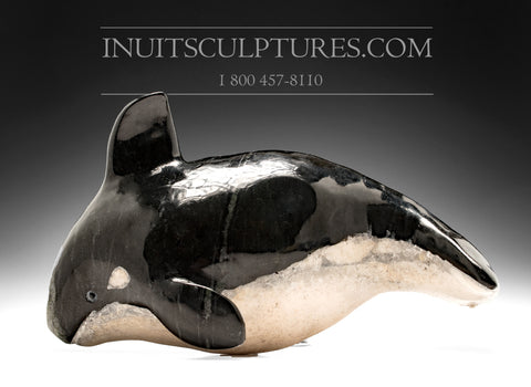 Baleine orque 10" par Kelly Etidloie