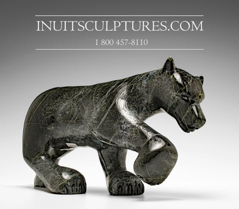 Loup rôdeur 14" par Kellypalik Etidloie