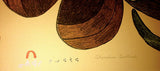 SHORELINE SENTINEL (2003) de Kenojuak Ashevak