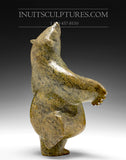 11" Dancing Chubby Golden Bear by Killiktee Killiktee