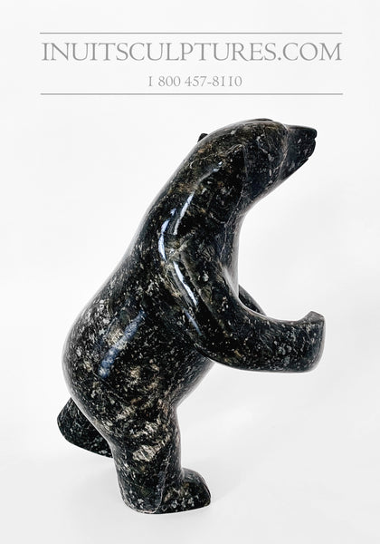 11" Two Way "Covid Collection" Black Speckled Dancing Bear by Famous Kooyoo Peter