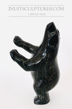Ours dansant moucheté noir 8" « Collection Covid » par le célèbre Kooyoo Peter