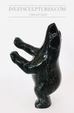8" "Covid Collection" Black Speckled Dancing Bear by Famous Kooyoo Peter