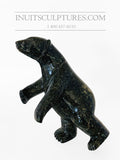 Ours dansant moucheté noir 11" bidirectionnel « Collection Covid » par le célèbre Kooyoo Peter