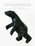 11" Two Way "Covid Collection" Black Speckled Dancing Bear by Famous Kooyoo Peter