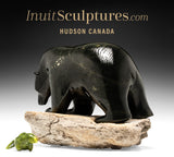14" Bear and Seal by Kuzy Curley *Friend or Foe?*