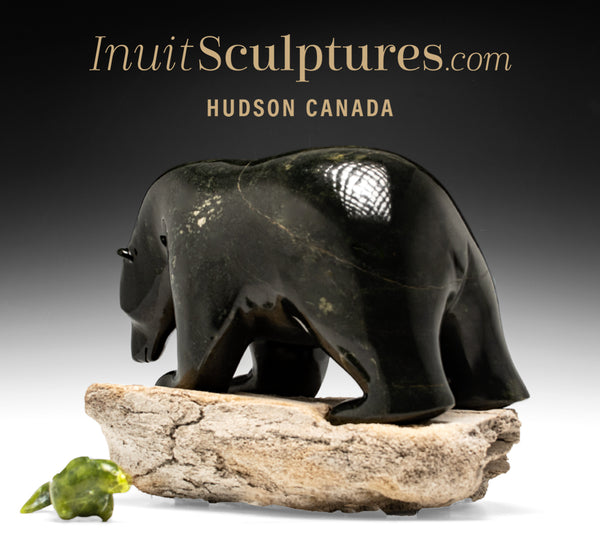 14" Bear and Seal by Kuzy Curley *Friend or Foe?*