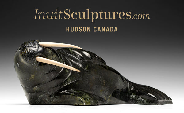 Morse 13" par Louie Uttaq Gjoa Haven *Toofy*
