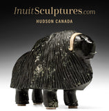 Bœuf musqué 11" par Louie Uttaq Gjoa Haven *Mighty*