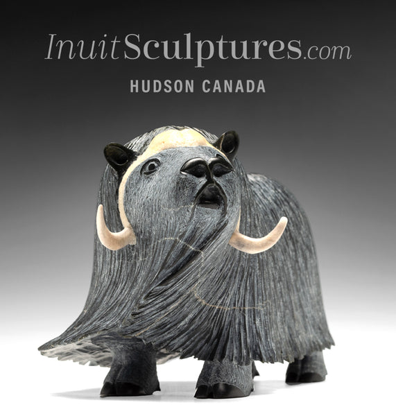 10" SIGNATURE Muskox by Lucassie Ikkidluaq *Hope*