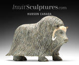 14" SIGNATURE Muskox by Lucassie Ikkidluaq  *Glint*