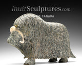 14" SIGNATURE Muskox by Lucassie Ikkidluaq  *Glint*