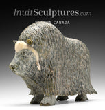 14" SIGNATURE Muskox by Lucassie Ikkidluaq  *Glint*