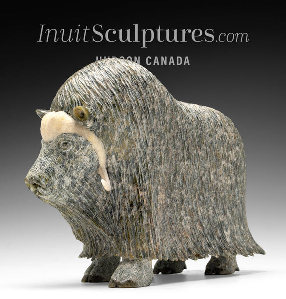 Muskox by Lucassie Ikkidluaq from Iqaluit Inuit Sculptures Art Inuit