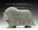 14" SIGNATURE Muskox by Lucassie Ikkidluaq  *Glint*