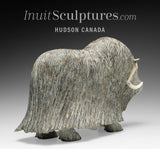 14" SIGNATURE Muskox by Lucassie Ikkidluaq  *Glint*